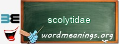 WordMeaning blackboard for scolytidae